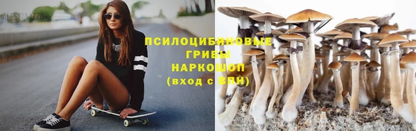 бошки Алексеевка